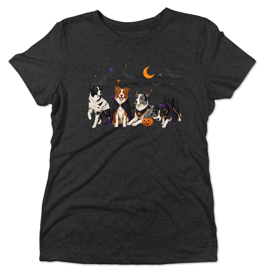 Border Collie Halloween Lineup - Women's Tri-Blend T-Shirt