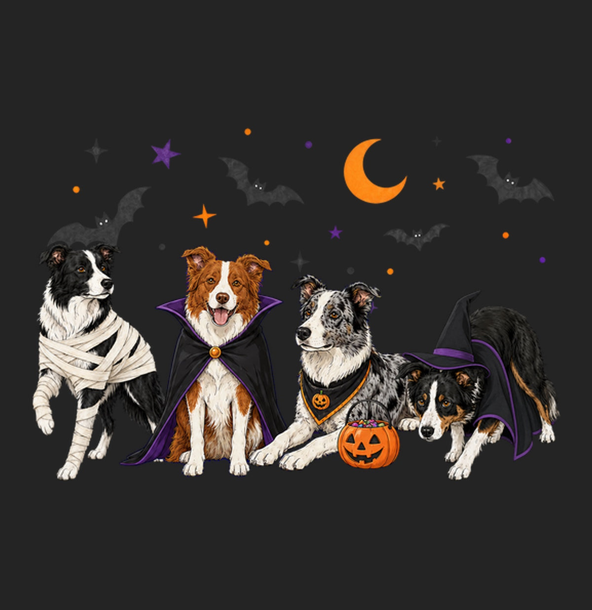 Border Collie Halloween Lineup - Women's Tri-Blend T-Shirt