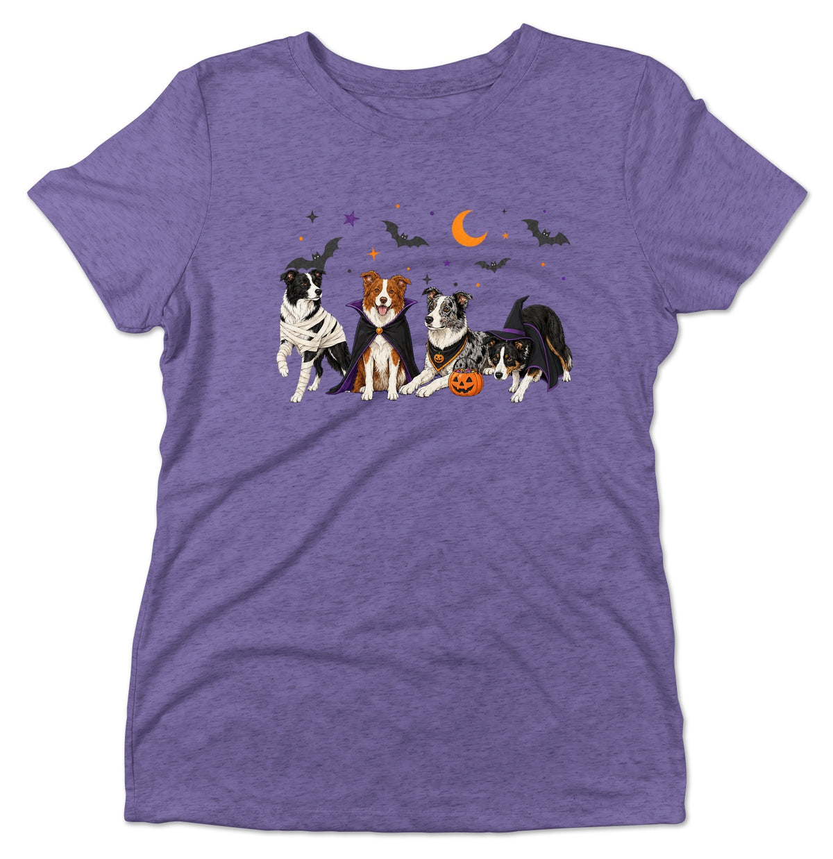 Border Collie Halloween Lineup - Women's Tri-Blend T-Shirt