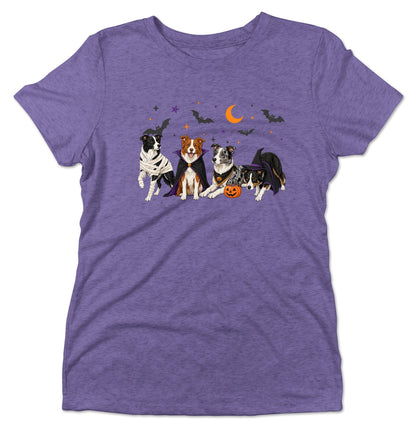Border Collie Halloween Lineup - Women's Tri-Blend T-Shirt