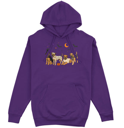 Border Terrier Halloween Lineup - Adult Unisex Hoodie