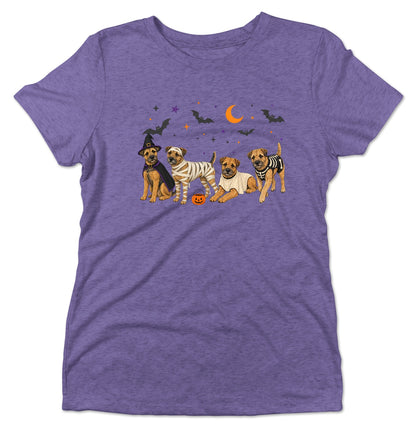 Border Terrier Halloween Lineup - Women's Tri-Blend T-Shirt