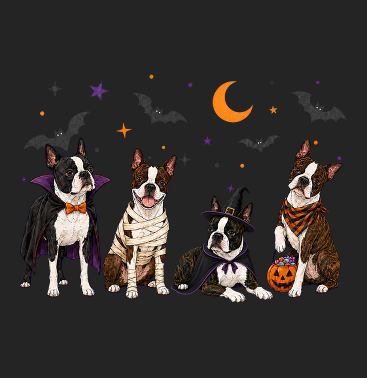 Boston Terrier Halloween Lineup - Women's Tri-Blend T-Shirt