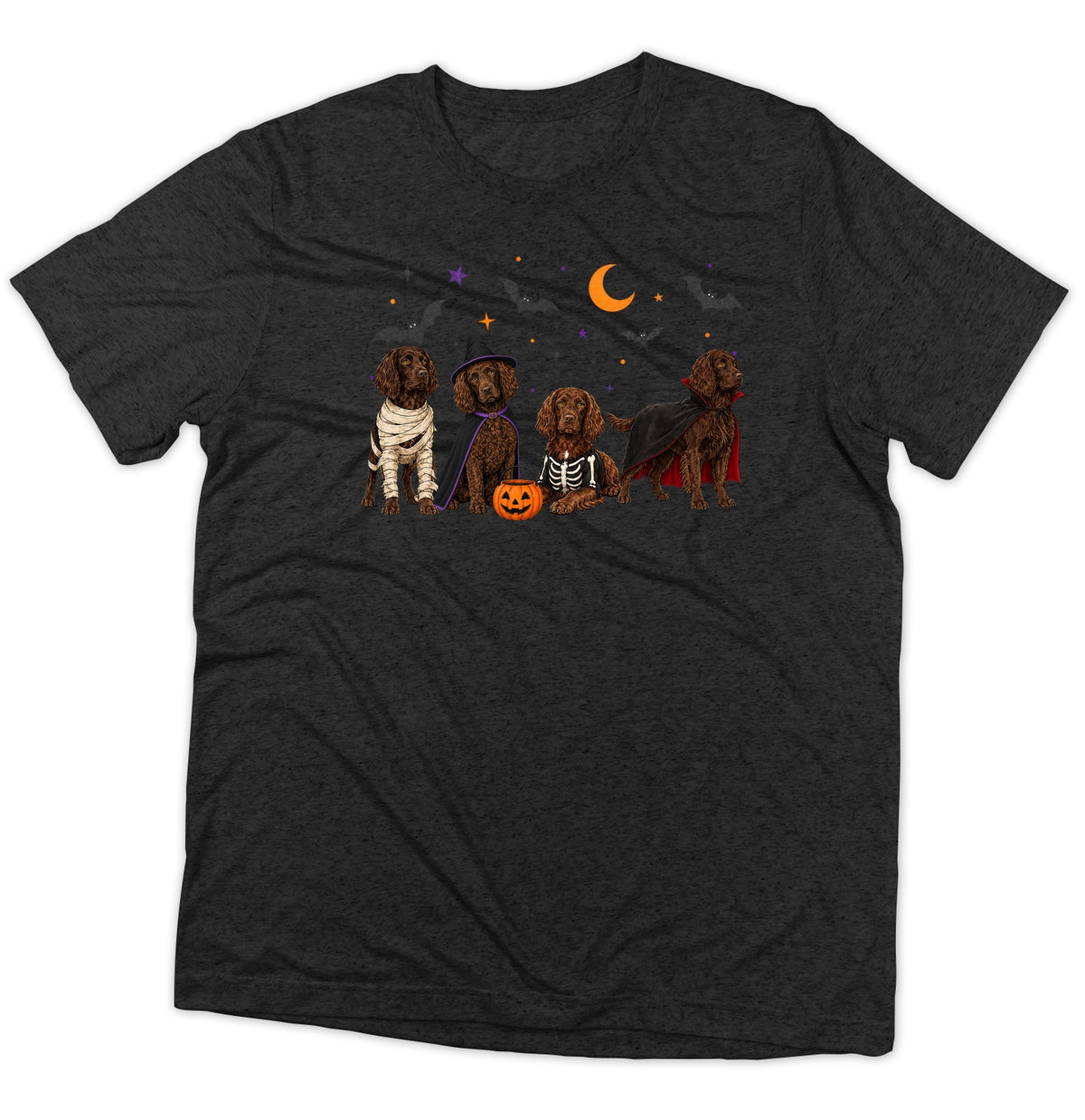 Boykin Spaniel Halloween Lineup - Adult Tri-Blend T-Shirt