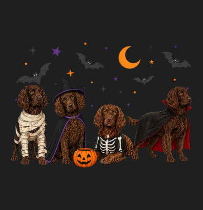 Boykin Spaniel Halloween Lineup - Adult Tri-Blend T-Shirt