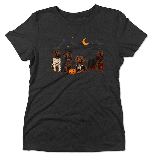 Boykin Spaniel Halloween Lineup - Women's Tri-Blend T-Shirt
