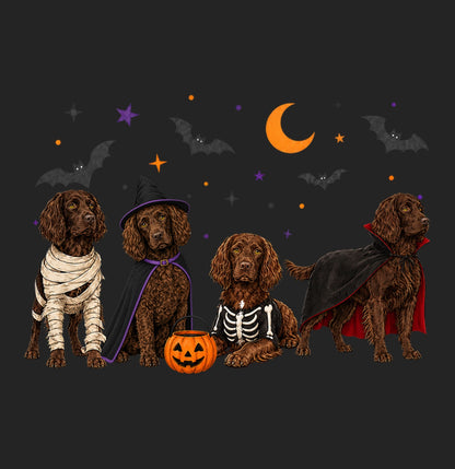 Boykin Spaniel Halloween Lineup - Women's Tri-Blend T-Shirt