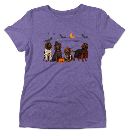 Boykin Spaniel Halloween Lineup - Women's Tri-Blend T-Shirt