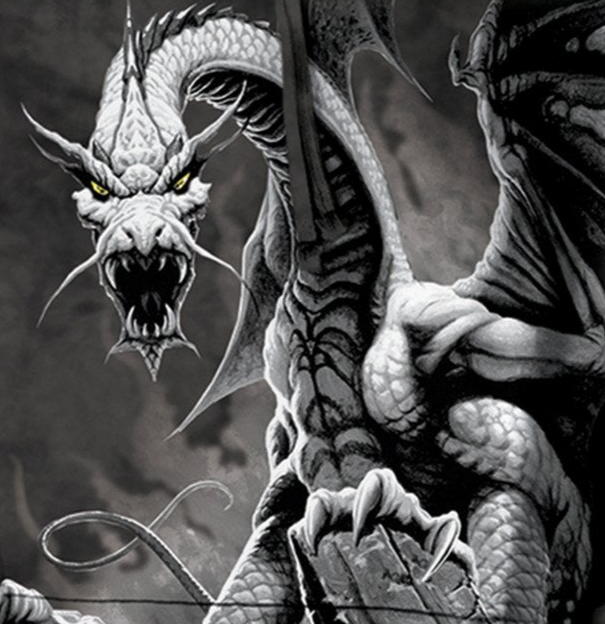 Black Dragon - Adult Unisex Hoodie Sweatshirt