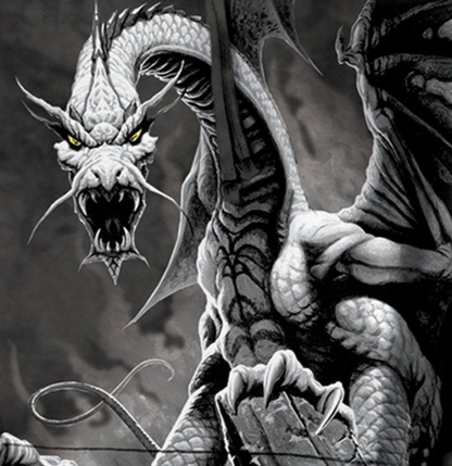 Black Dragon - Adult Unisex Hoodie Sweatshirt