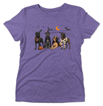Cane Corso Halloween Lineup - Women's Tri-Blend T-Shirt