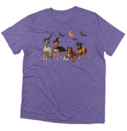 Catahoula Leopard Dog Halloween Lineup - Adult Tri-Blend T-Shirt