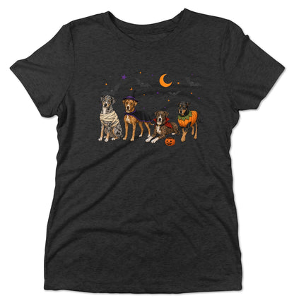 Catahoula Leopard Dog Halloween Lineup - Women's Tri-Blend T-Shirt