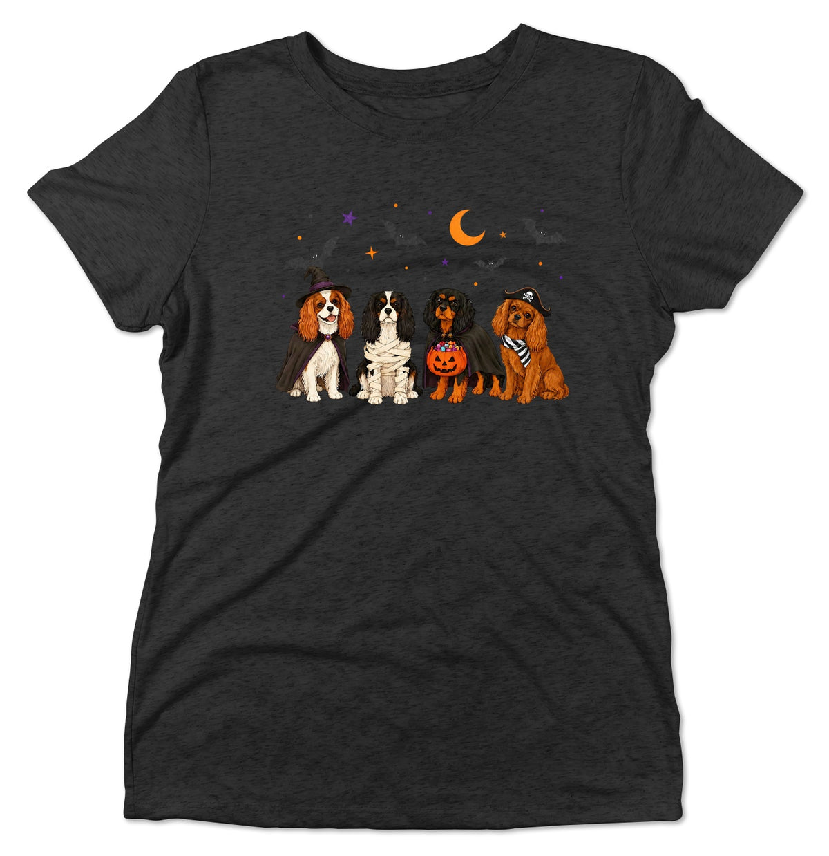 Cavalier King Charle Spaniel Halloween Lineup - Women's Tri-Blend T-Shirt