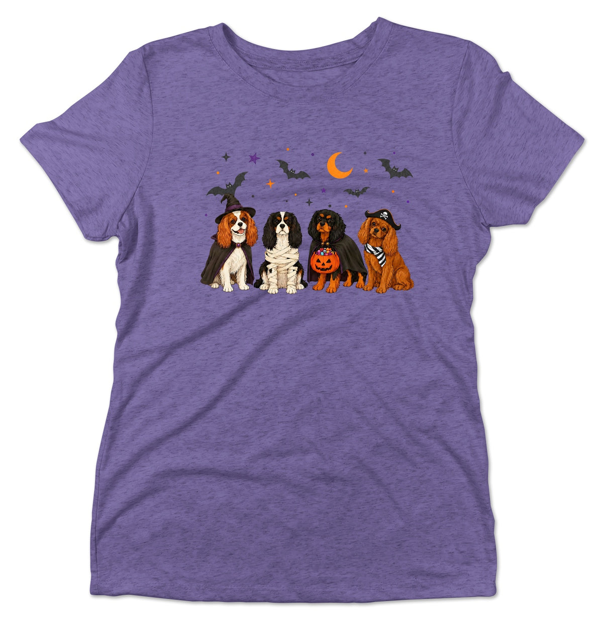Cavalier King Charle Spaniel Halloween Lineup - Women's Tri-Blend T-Shirt