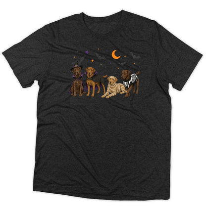 Chesapeake Bay Retriever Halloween Lineup - Adult Tri-Blend T-Shirt