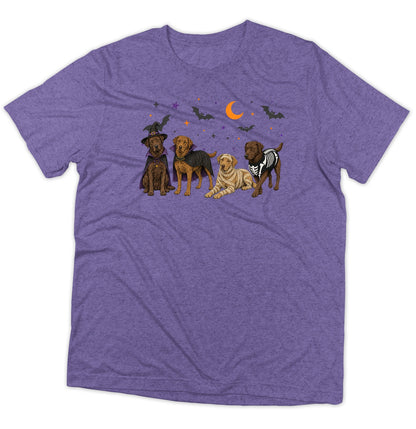 Chesapeake Bay Retriever Halloween Lineup - Adult Tri-Blend T-Shirt