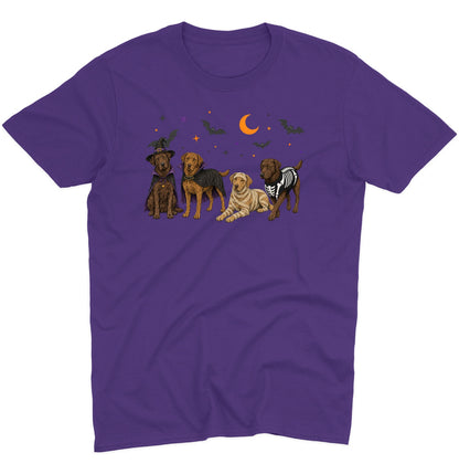Chesapeake Bay Retriever Halloween Lineup - Adult Unisex T-Shirt
