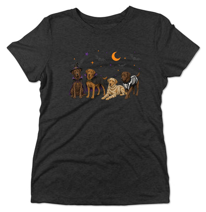 Chesapeake Bay Retriever Halloween Lineup - Women's Tri-Blend T-Shirt
