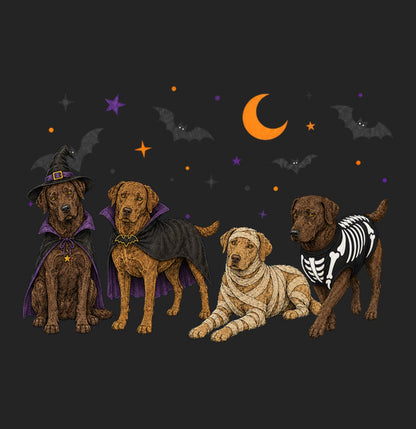 Chesapeake Bay Retriever Halloween Lineup - Women's Tri-Blend T-Shirt