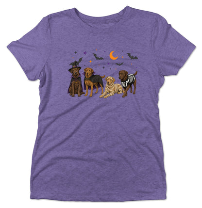 Chesapeake Bay Retriever Halloween Lineup - Women's Tri-Blend T-Shirt