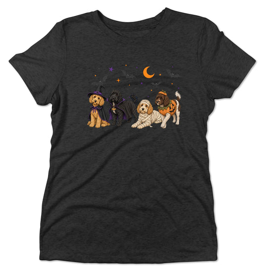 Cockapoo Halloween Lineup - Women's Tri-Blend T-Shirt