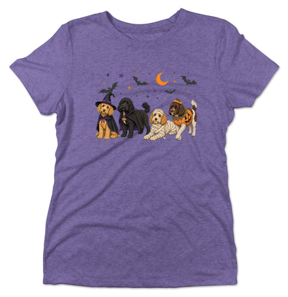 Cockapoo Halloween Lineup - Women's Tri-Blend T-Shirt