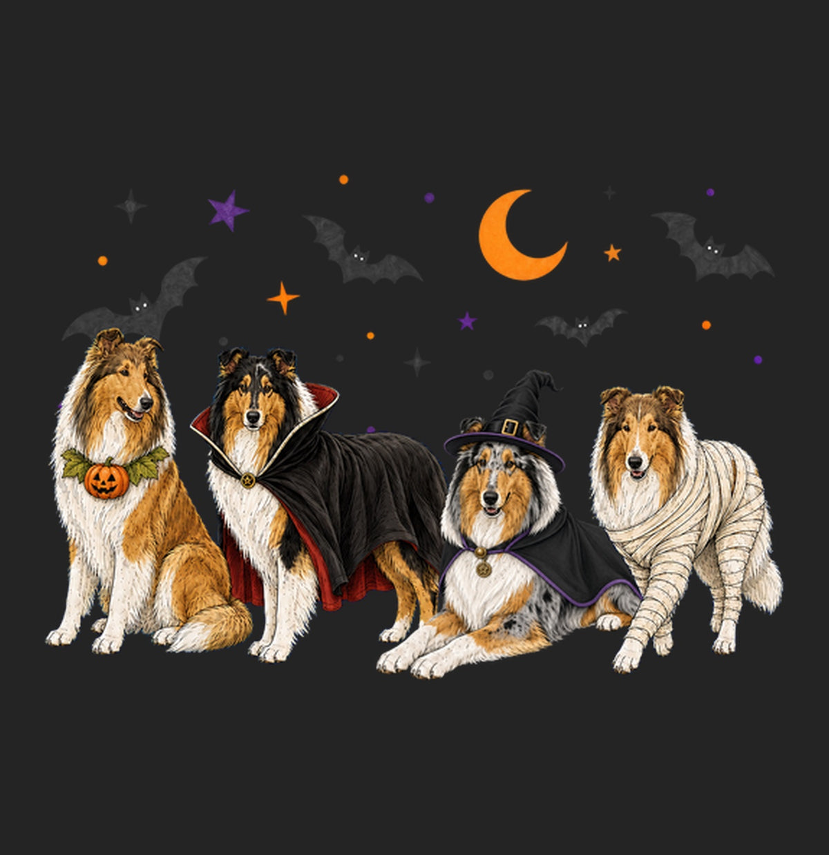 Collie Halloween Lineup - Women's Tri-Blend T-Shirt