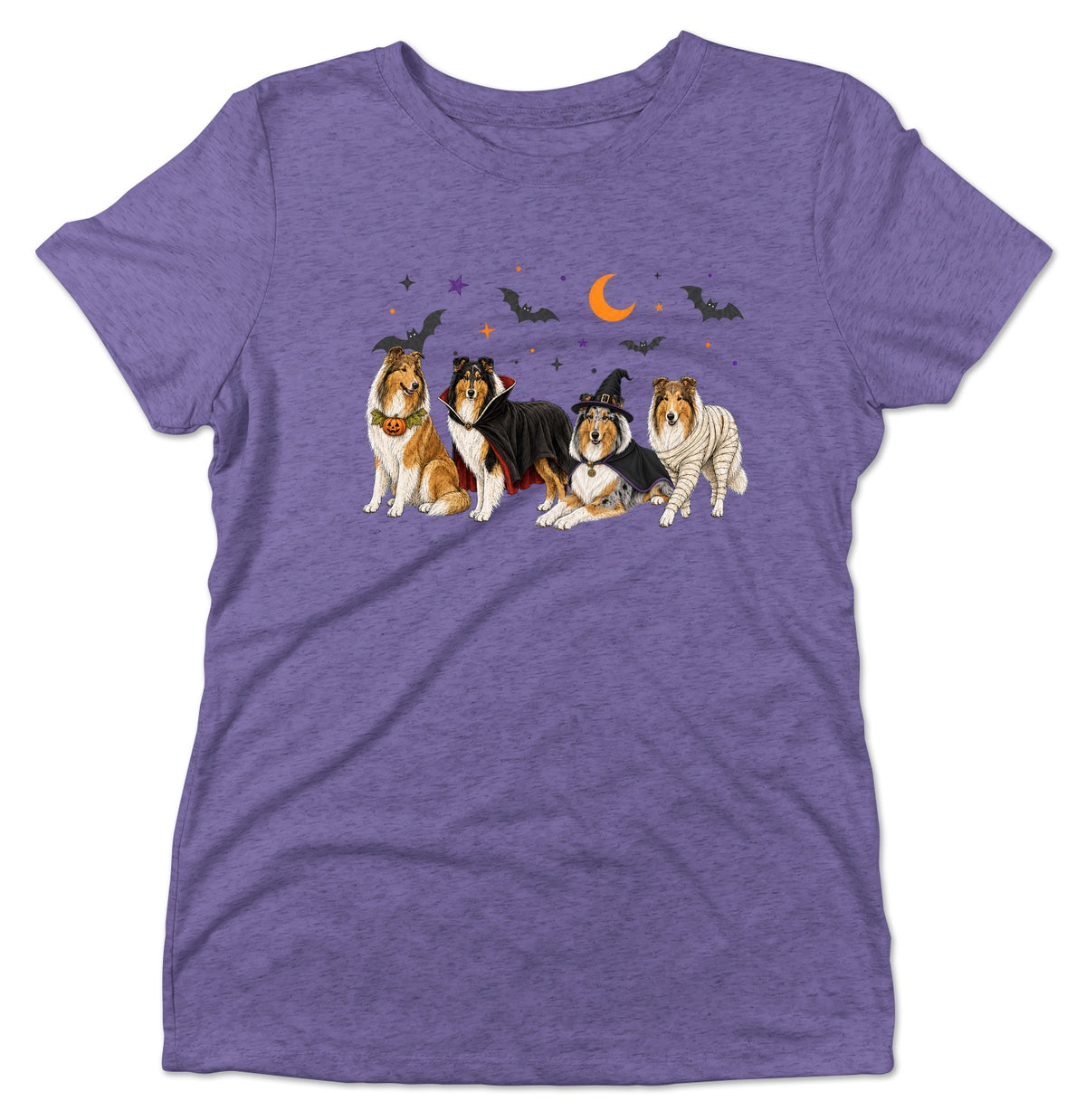 Collie Halloween Lineup - Women's Tri-Blend T-Shirt