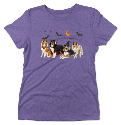 Collie Halloween Lineup - Women's Tri-Blend T-Shirt