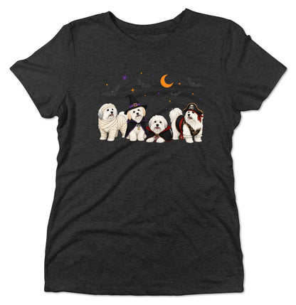 Coton de Tulear Halloween Lineup - Women's Tri-Blend T-Shirt