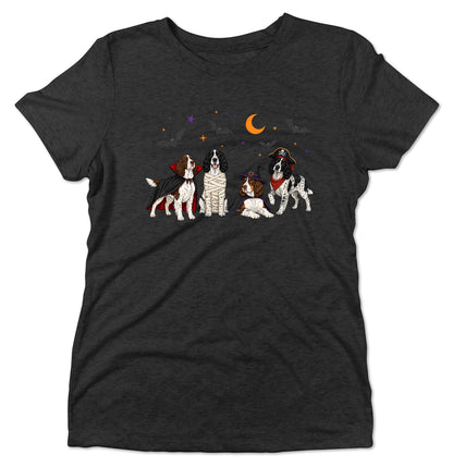 English Springer Spaniel Halloween Lineup - Women's Tri-Blend T-Shirt