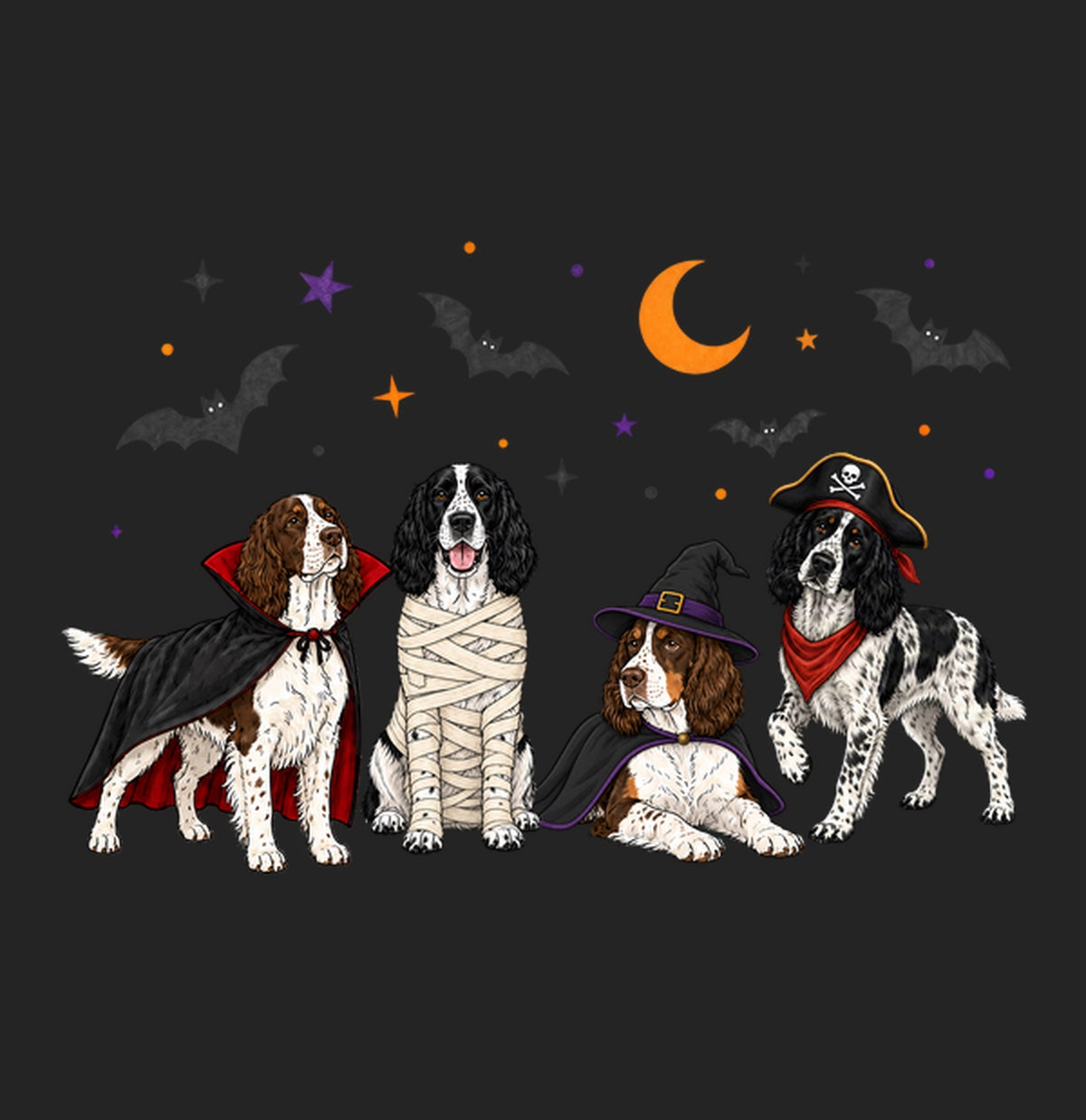English Springer Spaniel Halloween Lineup - Women's Tri-Blend T-Shirt