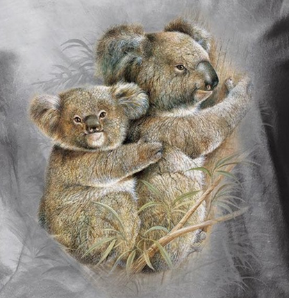 Koalas - Women's Scoop Neck T-Shirt