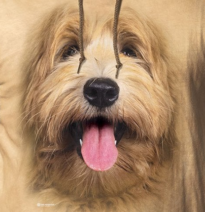 Big Face Labradoodle Pup - Adult Unisex Lightweight Hoodie Tee