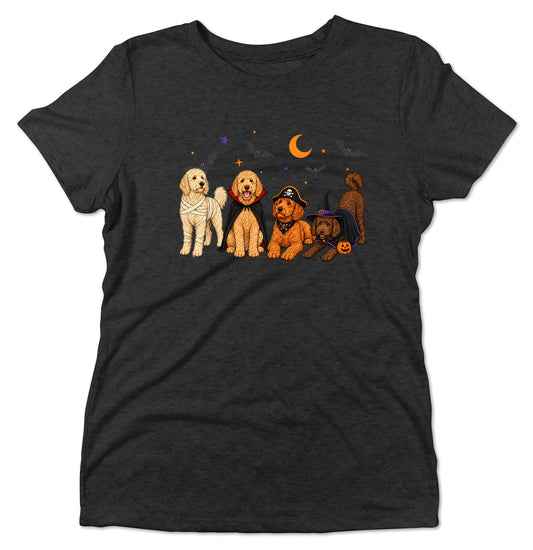 Goldendoodle Halloween Lineup - Women's Tri-Blend T-Shirt