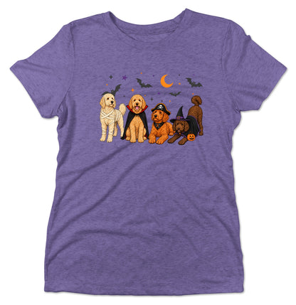 Goldendoodle Halloween Lineup - Women's Tri-Blend T-Shirt