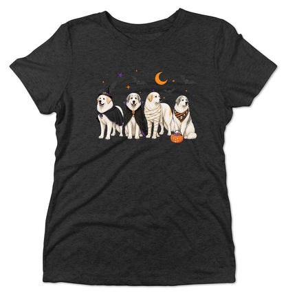 Great Pyrenees Halloween Lineup - Women's Tri-Blend T-Shirt