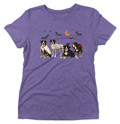Greater Swiss Mountain Dog Halloween Lineup - Women's Tri-Blend T-Shirt