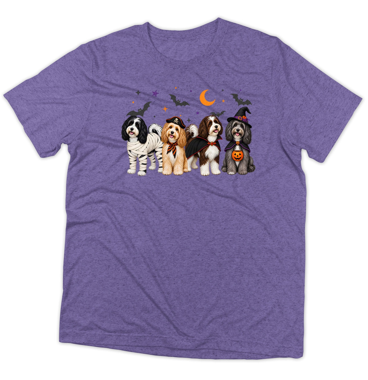 Havanese Halloween Lineup - Adult Tri-Blend T-Shirt