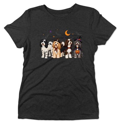 Havanese Halloween Lineup - Women's Tri-Blend T-Shirt