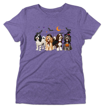 Havanese Halloween Lineup - Women's Tri-Blend T-Shirt
