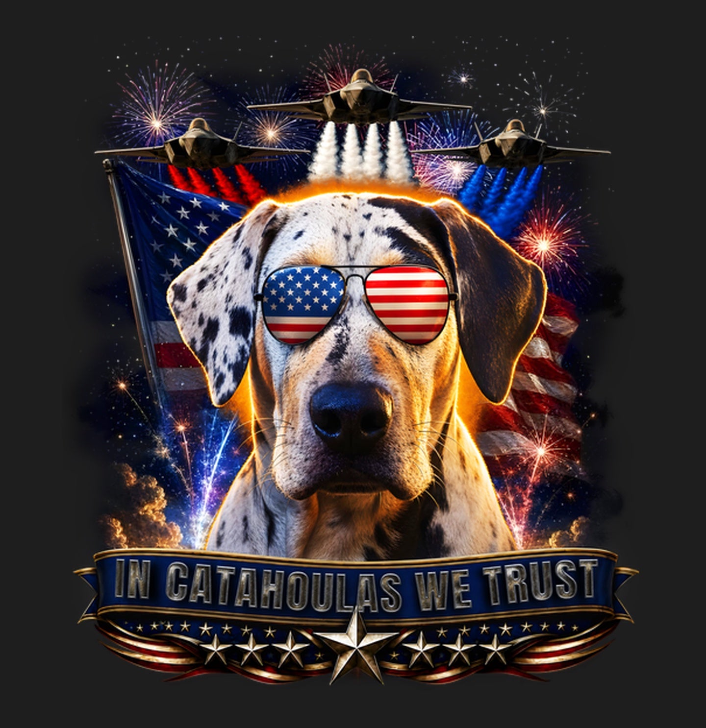 In Catahoula Leopard Dogs We Trust - Women's V-Neck T-Shirt