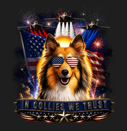 In Collies We Trust - Women's V-Neck T-Shirt