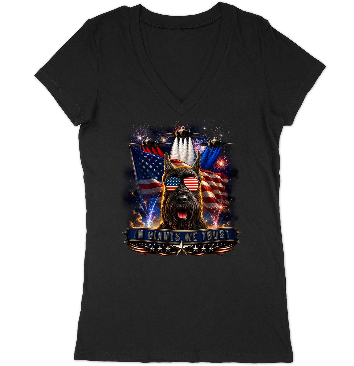 In Giant Schnauzers We Trust - Women's V-Neck T-Shirt