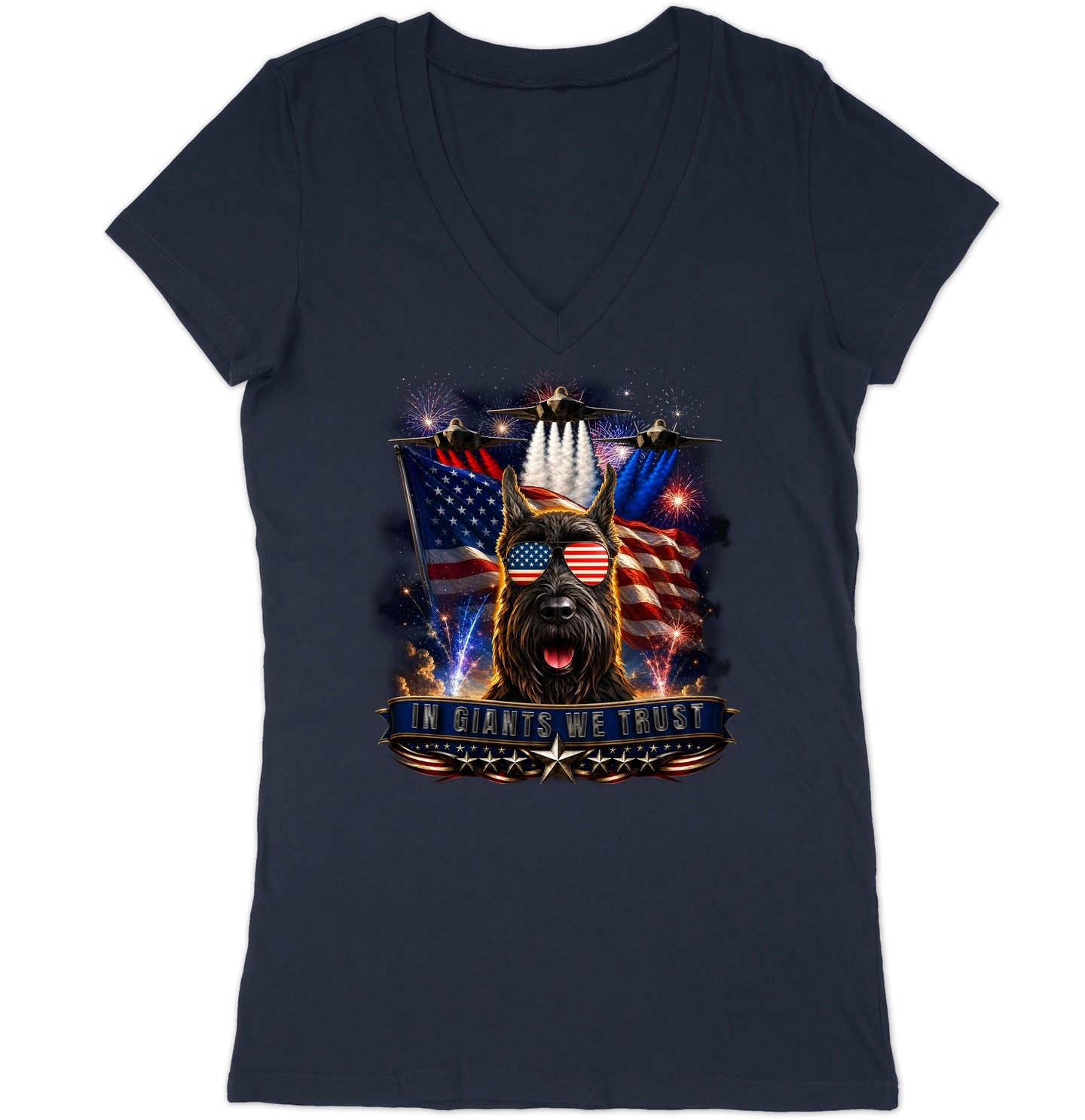 In Giant Schnauzers We Trust - Women's V-Neck T-Shirt