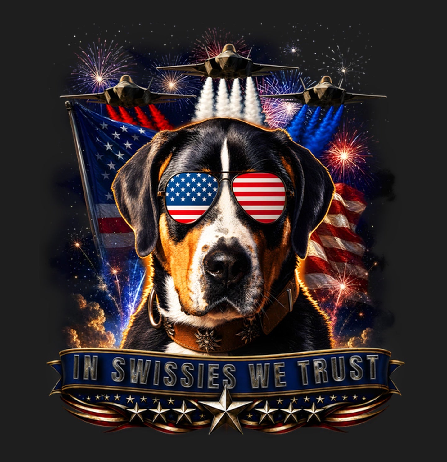 In Greater Swiss Mountain Dogs We Trust - Women's V-Neck T-Shirt