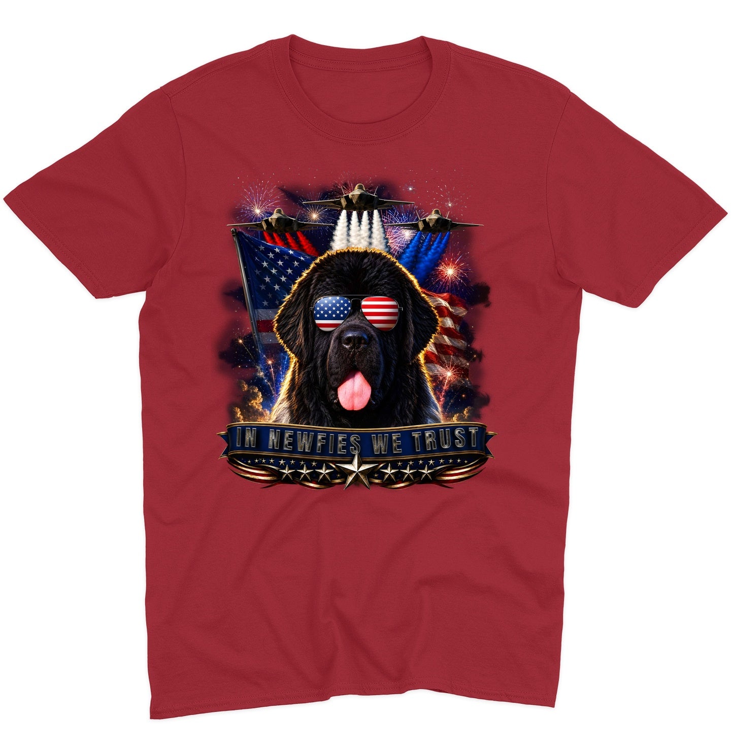 In Newfoundlands We Trust - Adult Unisex T-Shirt