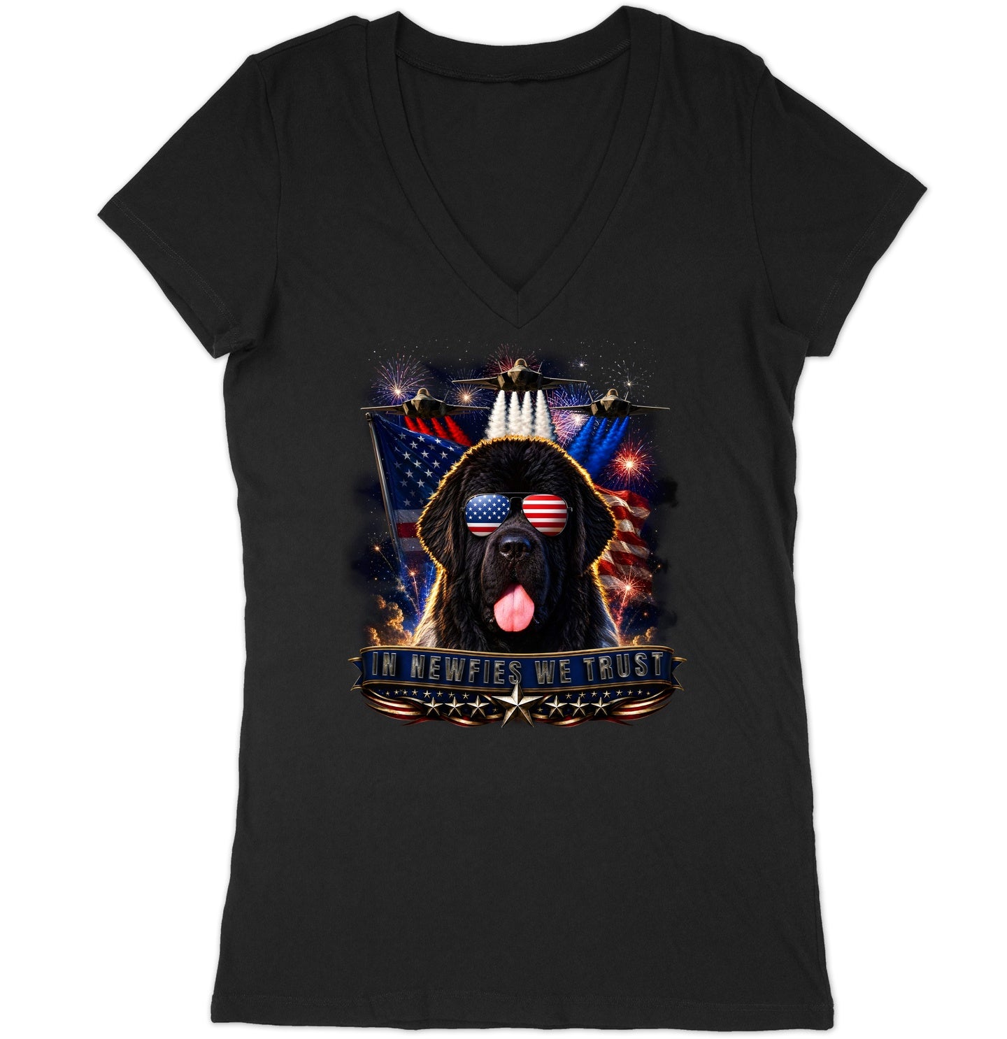 In Newfoundlands We Trust - Women's V-Neck T-Shirt