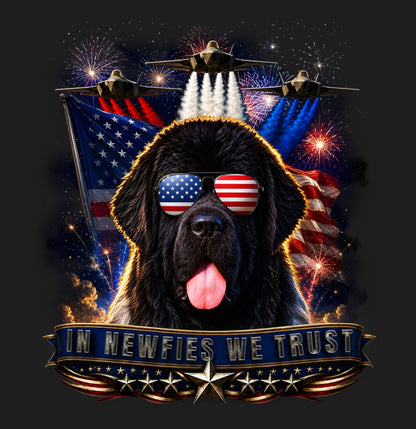 In Newfoundlands We Trust - Women's V-Neck T-Shirt